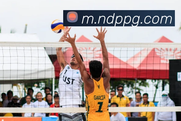 pg官网发展历程